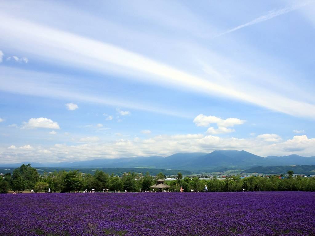 一年四季，风景迥异的北海道，我居然种草了！