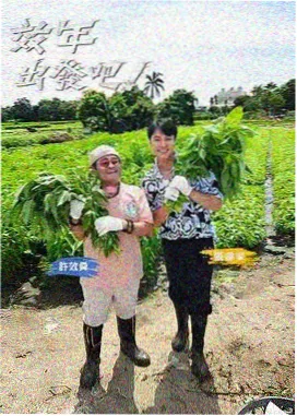 深夜食话综艺海报