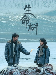 柠檬巷39号 剧集海报